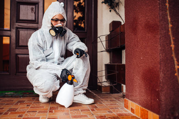 Reliable Ant Control contractor in Reisterstown, MD by Show Me Pest Control